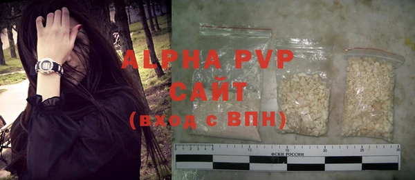 ПСИЛОЦИБИНОВЫЕ ГРИБЫ Козловка