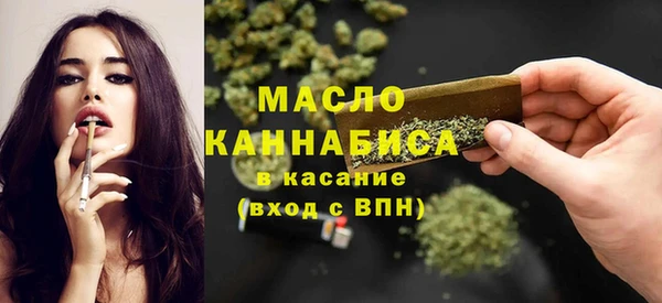 спиды Ельня