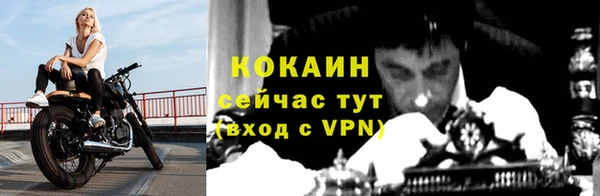 крисы Пересвет
