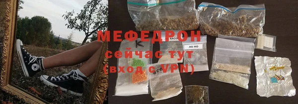 спиды Ельня