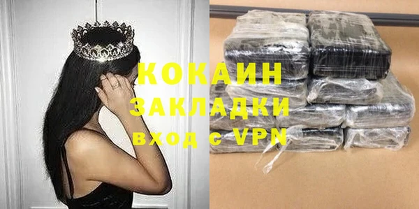 спиды Ельня