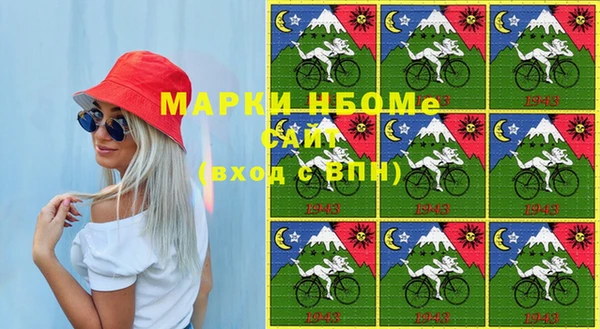 спиды Ельня