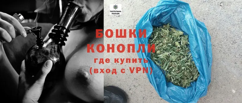 Бошки Шишки White Widow  купить   Кологрив 