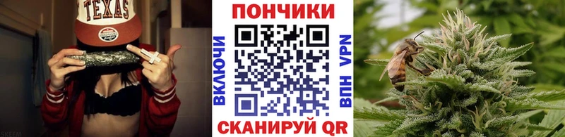 дарнет шоп Кологрив mega онион Бошки марихуана марихуана